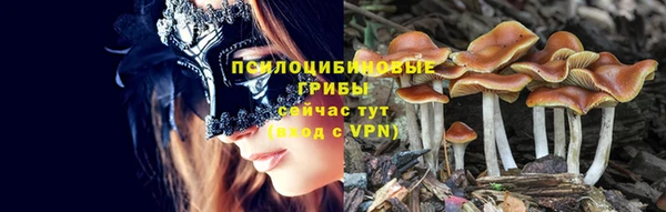 ALPHA-PVP Баксан