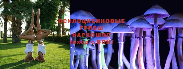 амф Семилуки